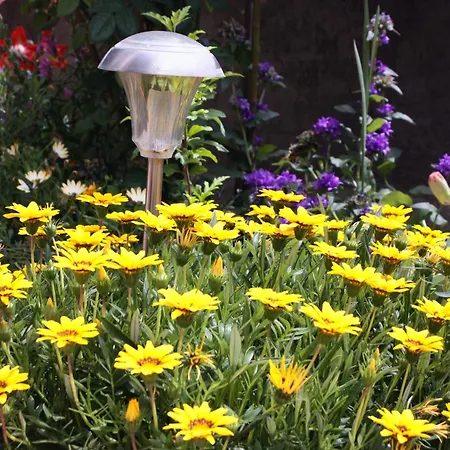 Apartments With Parking Space Kampor, Rab - 4984 Kampor