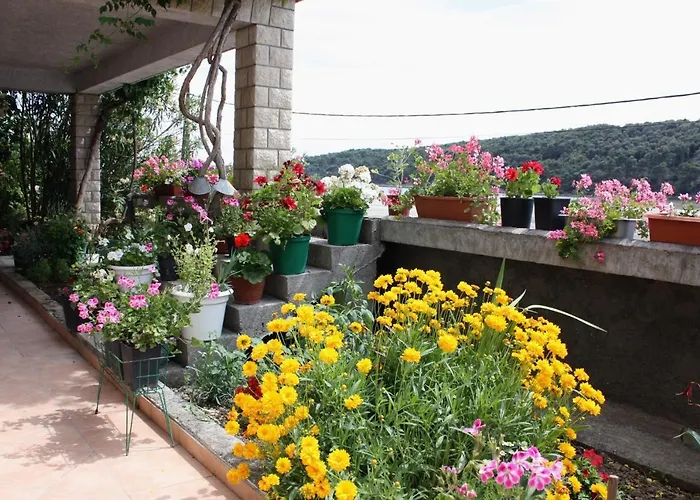 With Parking Space Kampor, Rab - 4984 Kampor