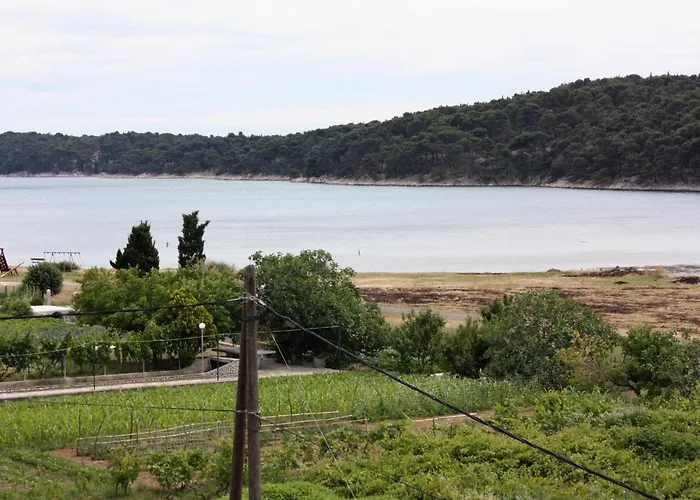 With Parking Space Kampor, Rab - 4984 *