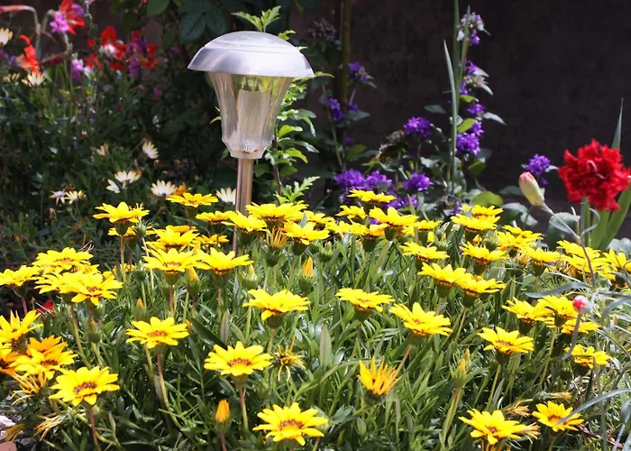 With Parking Space Kampor, Rab - 4984 Kampor